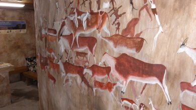 مشاهد وثائقية من القارة الأفريقية (أفريقيا العامة) - Old Thomas River Village, Rock Art Museum (Eastern Cape, South Africa)