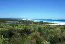 مشاهد وثائقية من القارة الأفريقية (أفريقيا العامة) - ESP Thomas River Yokinup Bay Cape Arid NP II 2012
