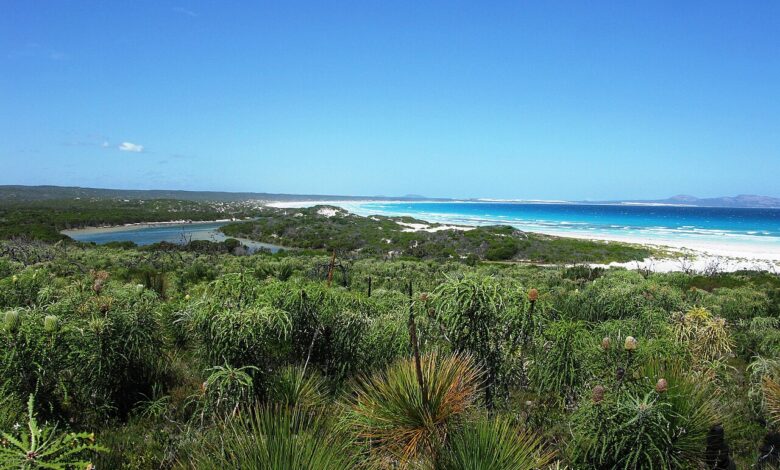 مشاهد وثائقية من القارة الأفريقية (أفريقيا العامة) - ESP Thomas River Yokinup Bay Cape Arid NP II 2012