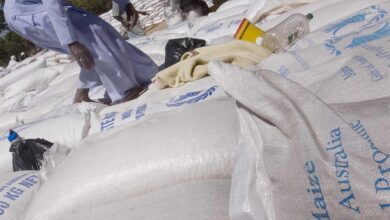 الجهود الإغاثية والعمل الإنساني (العمل الإنساني) - Africa Humanitarian Food Aid 19 (10665244594)