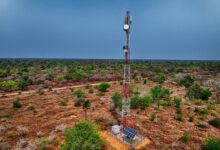 التكنولوجيا والتحول الرقمي (التكنولوجيا) - Communications Mast in the African Bush