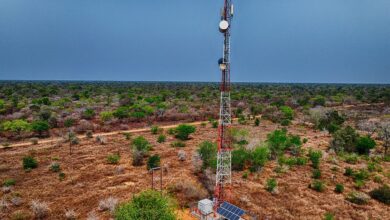 التكنولوجيا والتحول الرقمي (التكنولوجيا) - Communications Mast in the African Bush