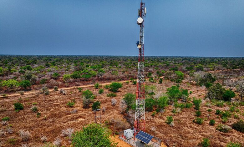 التكنولوجيا والتحول الرقمي (التكنولوجيا) - Communications Mast in the African Bush